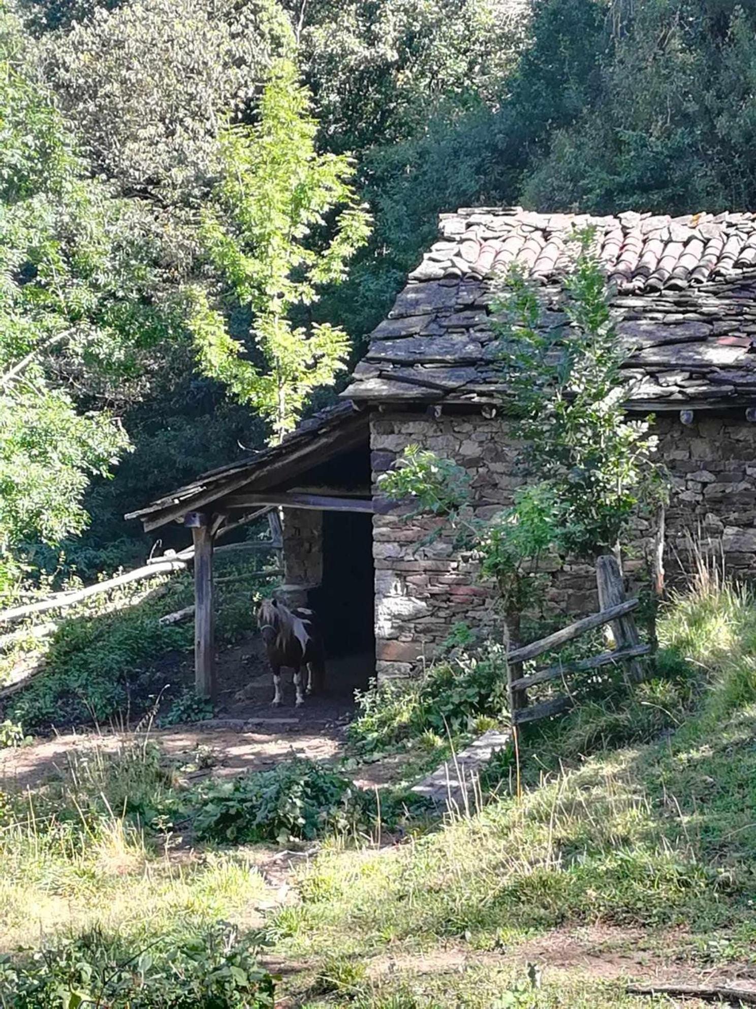 Encanto Asturiano Aller 외부 사진