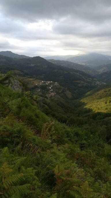 Encanto Asturiano Aller 외부 사진