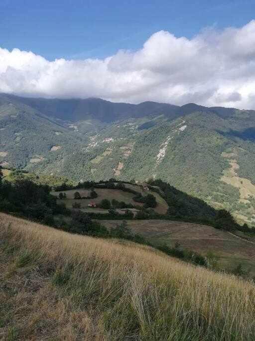 Encanto Asturiano Aller 외부 사진